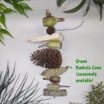 Gumnuts Galore inc Green Banksia