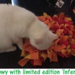Snowy cat with ‘Inferno’ Snuffle Mat