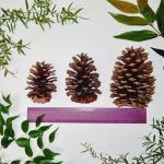 Loose Pinecones (4)