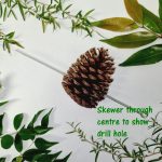 Pinecone drilled with text