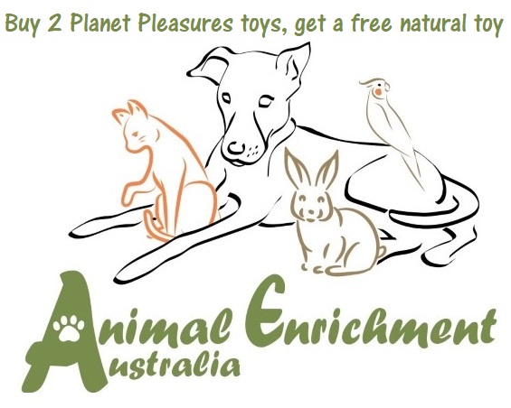 Animal Enrichment Australia