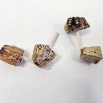 Mushroom Sticks (14)
